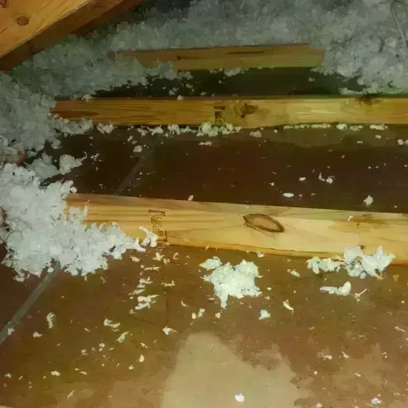 Attic Water Damage in Emmetsburg, IA